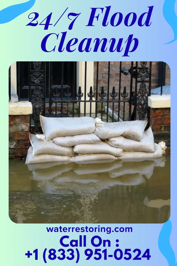 24/7 Flood Cleanup in Lincolnville, SC