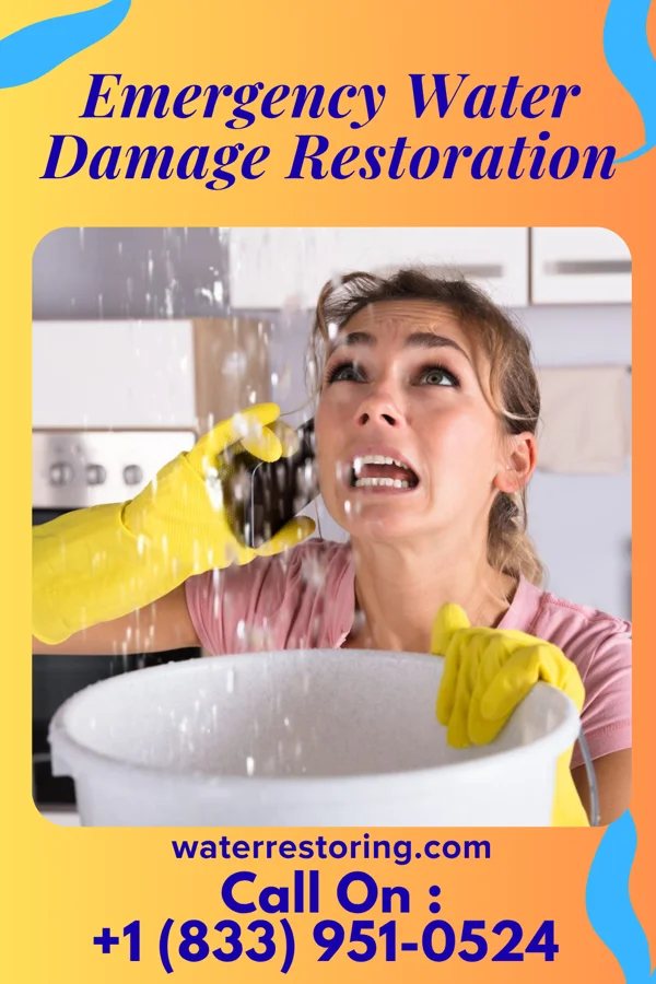 Emergency Water Damage Restoration in Lincolnville, SC