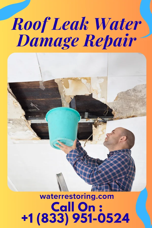 Roof Leak Water Damage Repair in Lincolnville, SC
